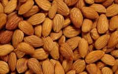 مغزبادام درختی بادرصد روغن 50 تا 60
